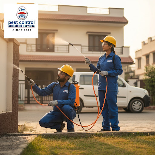 Protect your home and business with reliable experts you can count on. Pest Control and Allied Se…