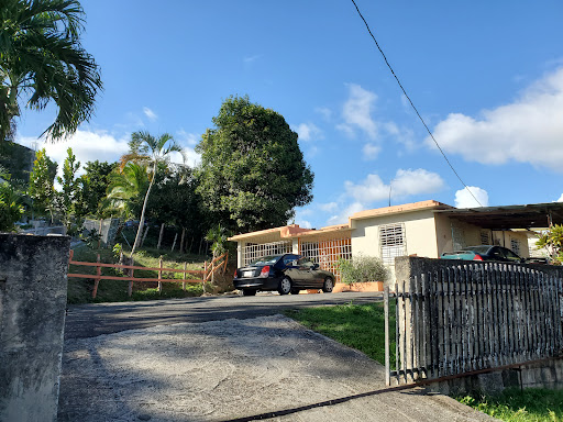 Auto Repair Noel's