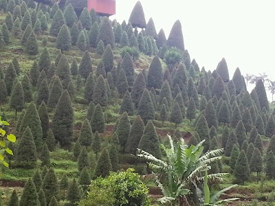 Photos of Este Park