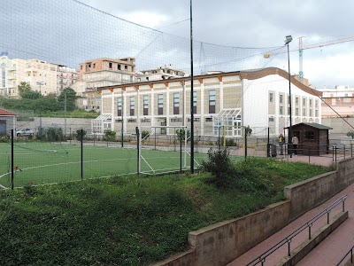 Liceo Scientifico Statale Alessandro Volta