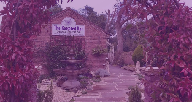 Reviews of The Kosseted Kat in Birmingham - Dog trainer