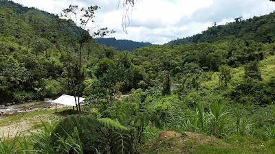 Photos of Chontayacu - Paradero & Cascadas