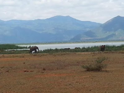 Photos of Lake Jipe Safari Camp