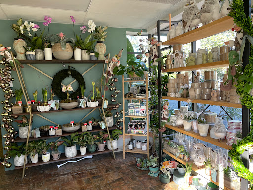 The Plant Shoppe