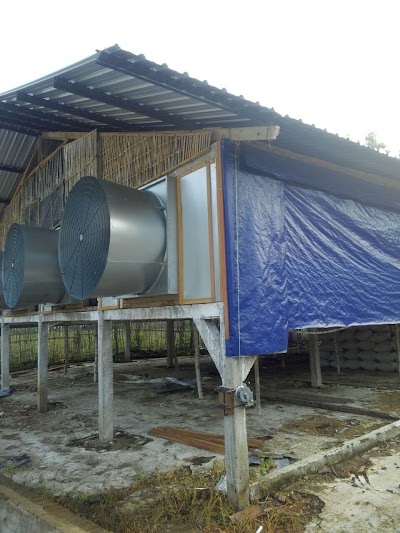 Photos of Alka Purbalingga