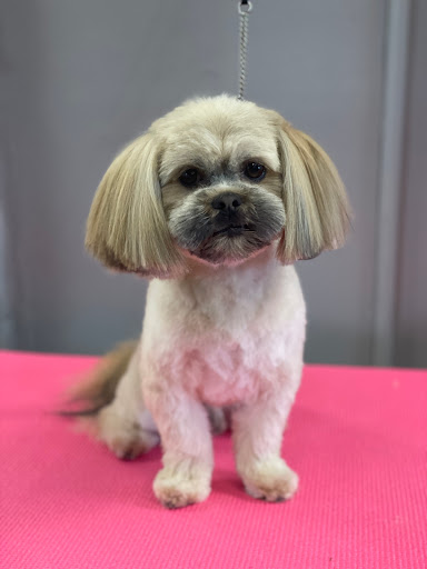 Samco Pet Spa Ltd - Thumbnail