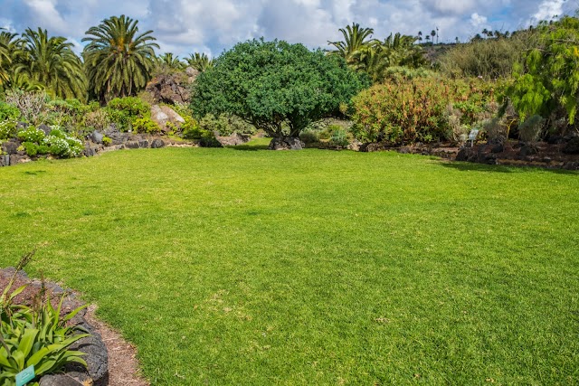 Jardín Botánico Canario Viera y Clavijo