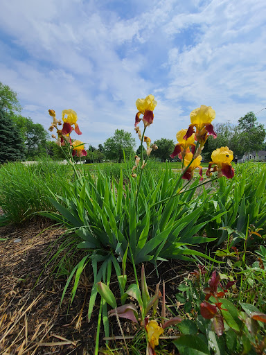Frank Gilbert Jr. Memorial Park - Thumbnail