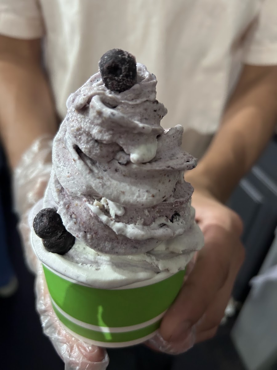 The Red Bean — photo 2