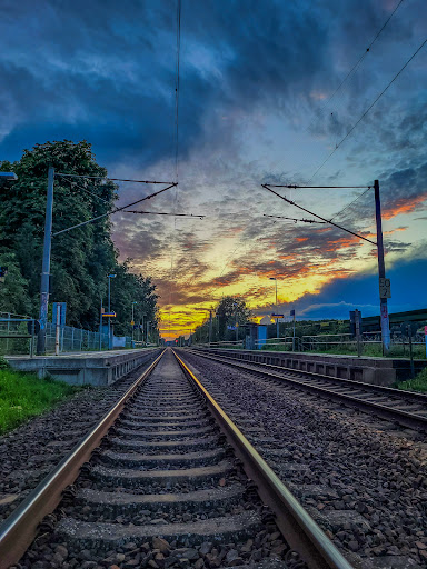 Götz - Visual