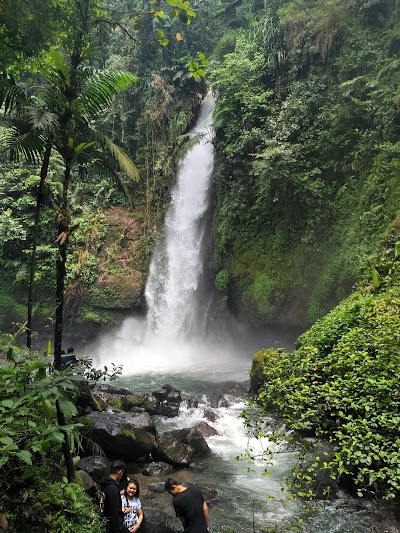 Photos of Calliandra Camping Ground