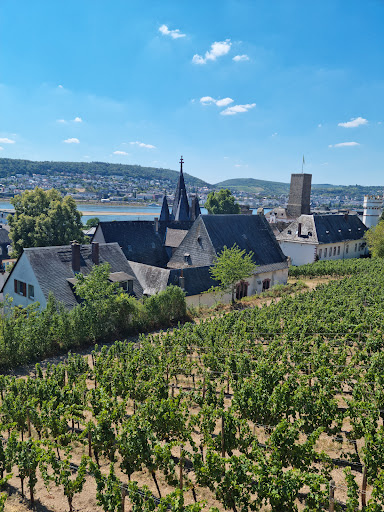 Seilbahn Rudesheim Lift - Thumbnail