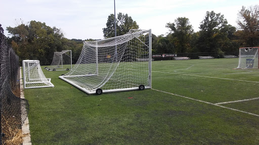 Glenside Field - Thumbnail