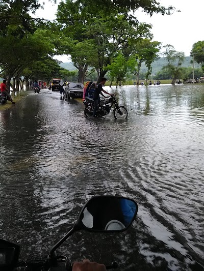 Photos of Agro Jamur Tiram Wijaya Kusuma
