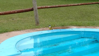 Photos of Aires De Nono