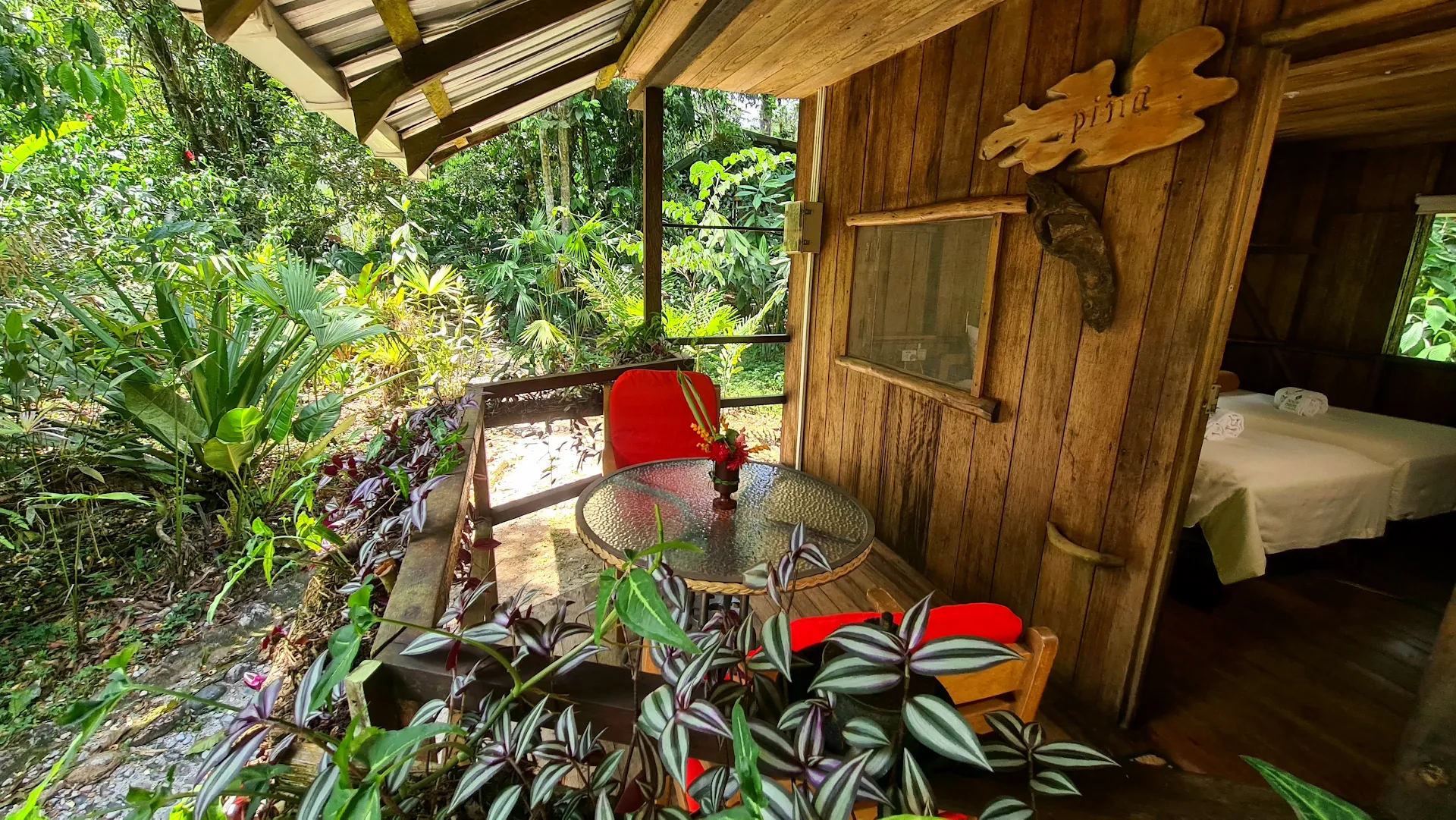 Hakuna Matata Amazon Lodge