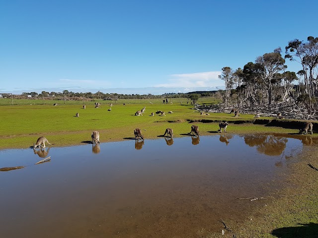 Phillip Island Wildlife Park