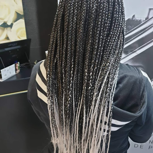 Fatou - Visual