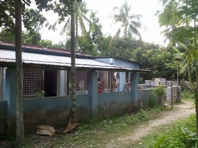 Photos of Luxmepur Jame Masjid