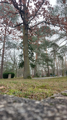 Waldfriedhof Umstadt - Thumbnail
