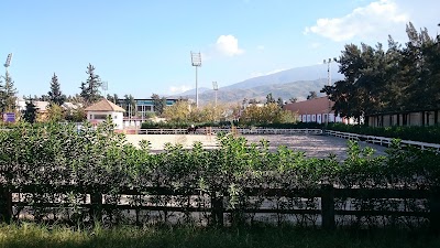 Photos of Club Hippique Mitidja Blida