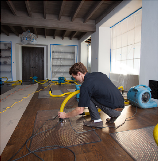 Water Damage and Mold Removal of Broward County - Thumbnail