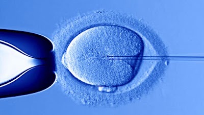 Photos of Spirit of Life Center for the treatment of infertility and IVF
