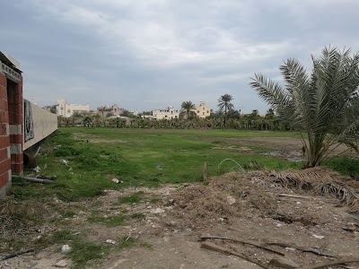 Photos of أبو صيبع للنباتات والزهور