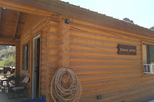 Saguaro Lake Ranch Stable, Mesa, United States