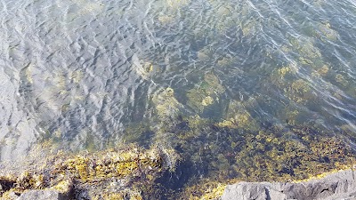 Photos of Seal beach