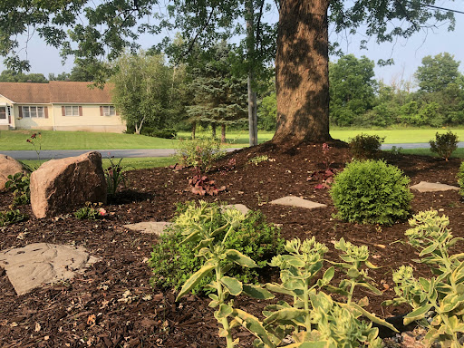 Zehr's Flowers & Landscaping - Thumbnail