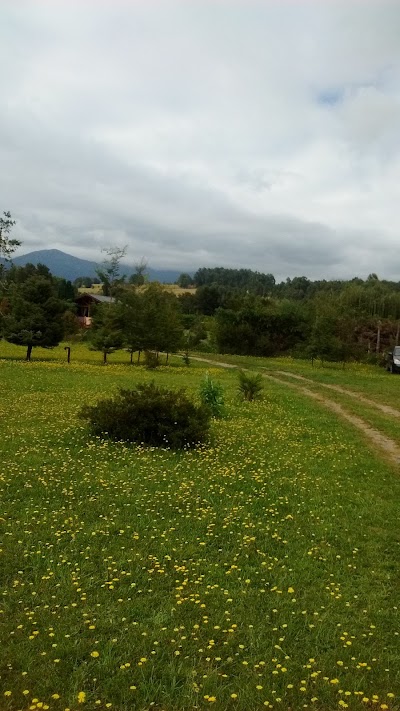 lodging