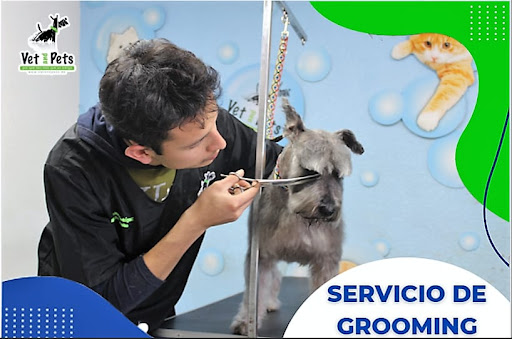 Vet and Pets - Hospital Veterinario Pachuca