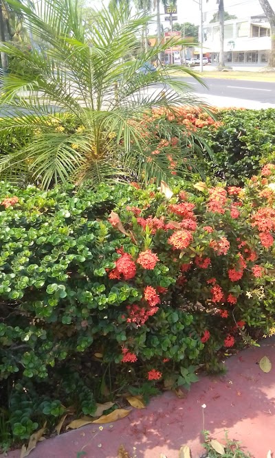 Photos of Jose Sa&uacute;l Rodr&iacute;guez Park