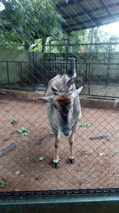 Photos of Zoological Garden