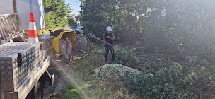 Photo n°23 de Aubert elagage à Arnage (Service d'élagage)