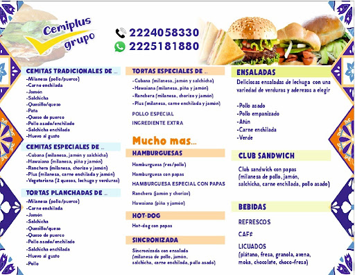CemiPlus Gallery - Mexico