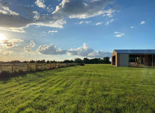 Willow Farm - Visual