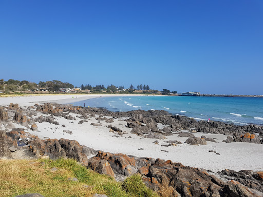 Lloyd Collins Reserve