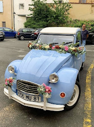 Photo n°13 de Groseilles et petits pois à Castres (Fleuriste)