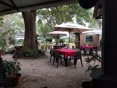 Photos of La Caverna