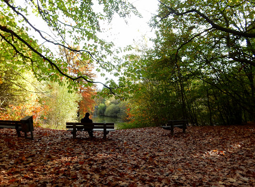 Wandelbos Gallery - Netherlands