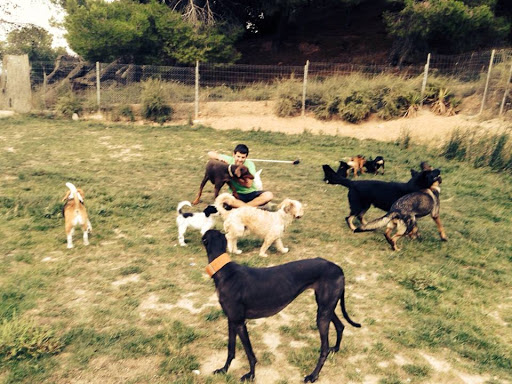 Hotel para perros Centro Canino y Residencia Don del Barri