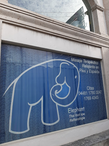 Elephant Thai foot SPa RefLexoLogia - Thumbnail