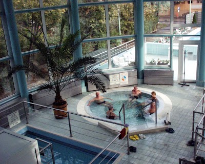 Photos of Friendship Spa and Wellness Hotel *** superior