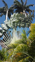 Photo n°2 de Sophrologue, Réflexologue, Fleurs de Bach à Plaisance-du-Touch (Réflexologue)