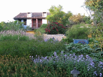 Photos of Hotel Quinta de Las Flores