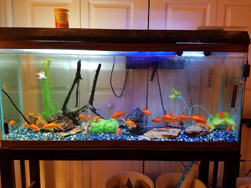 AquaKeepers - Visual