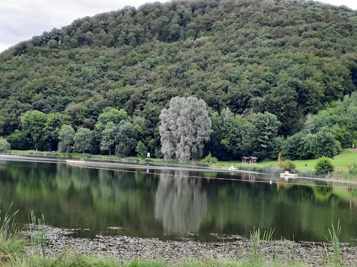 Ristaurante - Pizzeria am Waldsee - Thumbnail