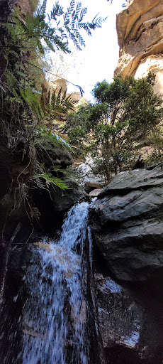 Centennial Grove Grotto "Canyon" - Thumbnail